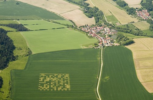 feld