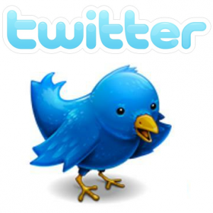 twitter-300x300